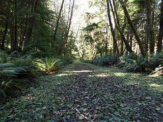 Road-to-Trail Long Island - Willapa Bay National Wildlife Refuge Sept 19 2013