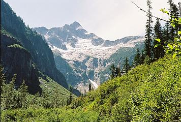 View above the brush in Little Beaver valley up at Whatcom Peak.