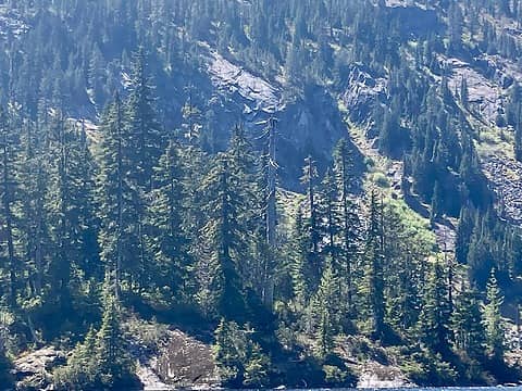 A huge eagle's next (in the dead tree at center right).