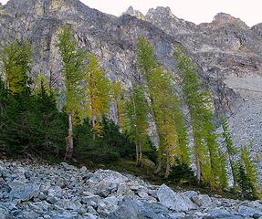 Larches & Hocks summit crest