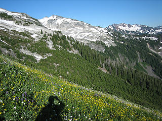 My shadow on flower meadow south of Snowking.