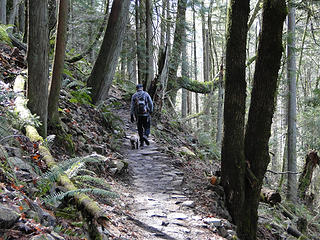 Hiker with dogs on Chirico trail.