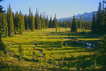 McMillian Park, Pasayten Wilderness