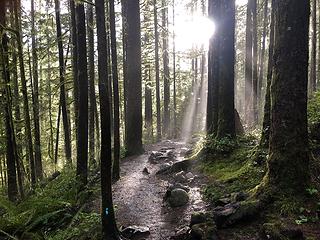 A rare moment of sun at Wallace Falls State Park 1/24/20