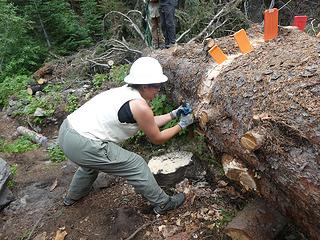 11. Christina Liu working on the second cut