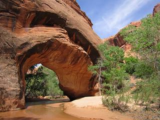 Coyote Bridge