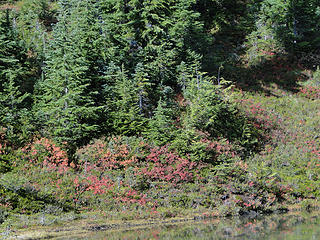 Fall at Eunice Lake.