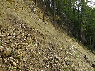 The new trail cut across the washout