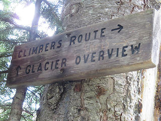 Reach a fork at 2 miles. Turn right to ascend the steep, rocky climbers trail up the Hogback, an undated moraine left behind when this flank of Baker was draped by a much larger glacier. The Hogback route has great views, with a bonus of abundant wildflowers in season, and allows you to touch glacial ice at the western margin of the Coleman Glacier ( I assume  the vast majority of this readership knows not to venture onto a glacier without knowledge and equipment, but here the ice and snow blend together very subtly, especially until midsummer, so caution is still advised).  Continue straight at the signed junction to reach Survey Rock in 0.4 mile more. Several creeks must be crossed, which tend to run rambunctiously in summer snowmelt.  Expect to get your feet wet if hiking before late summer!