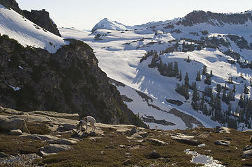 Anyone want to head over to the Tank Lakes?