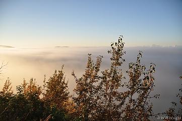Fog in Tanana Valley