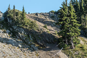 bear buddy on the ridge