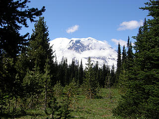 Rainier from Grand Park past junction.