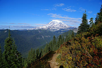 Mount Rainier from Shriner Peak Trail