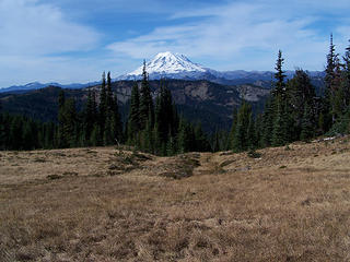 Mt. Rainier from meadow just below camp.