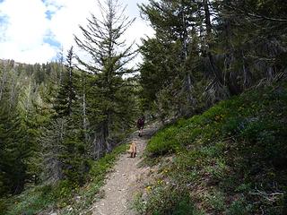 Brown hikes are back!!!! Yaaaaaa!!!!