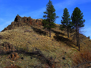 Wooten Wildlife Area - Tucannon River Drainage