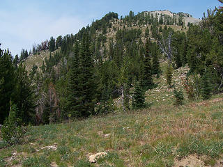 Looking up at Duncan Hill