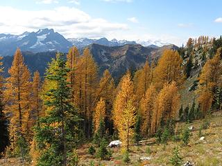 High Route larch