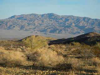 Eagle seen from start of Orocopia, been there done that