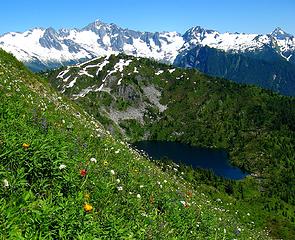 7/23/10, covered with flowers en route to the Devils Traverse