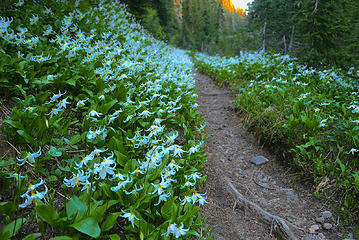 70. Moraine Park