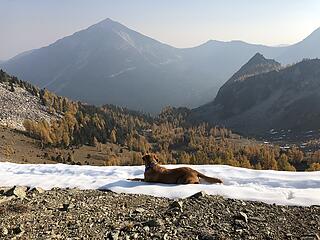 On top of Gray Peak - Cooper eyeing Oval Peak