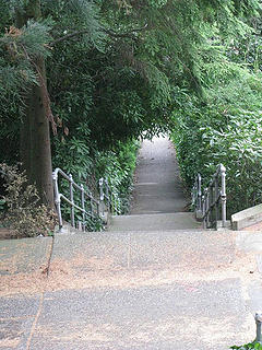 So I read an article in Sunset Magazine about Urban Hiking in Seattle.. with tons of stairs..so Annie & I checked it out today