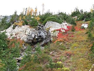 Streamside color above Leroy Creek Basin