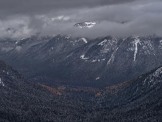 Larches in Morse Creek valley . . .