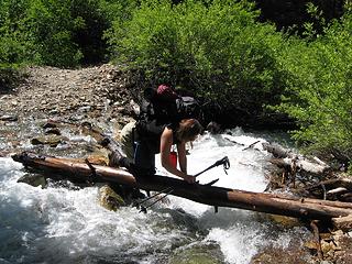 log crawling across Box Creek