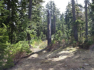 The unsigned western end of the trail at Meadow Pass.