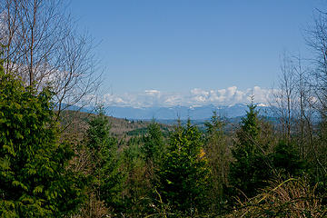Only view on lower trails. 
Oyster Dome via Blanchard, 3/29/13, Bellingham WA