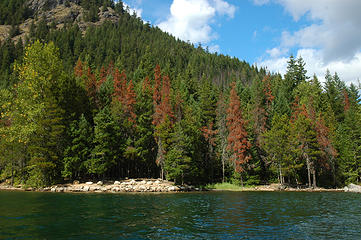 Big Beaver Campground sits in a cove at the inlet of Big Beaver Creek and Big Beaver trail.  Its a large campground with two bathrooms and a dock. You can get a water taxi ride from the Ross Lake Resort to this to save you hiking 12 miles.