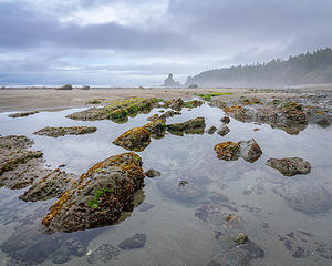 Low Tide at Shi Shi Beach