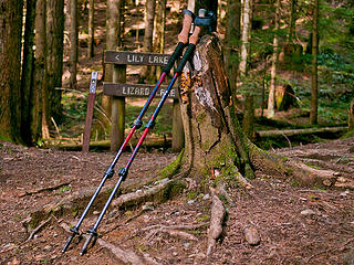 I really like my new Black Diamond poles! Oyster Dome via Blanchard, 3/29/13, Bellingham WA