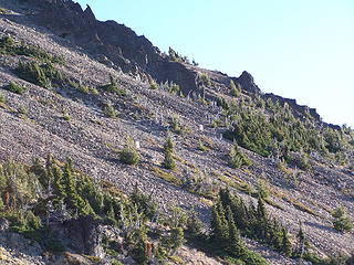 Mountain Goats headed away from us