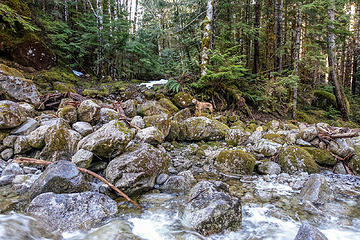 one of many stream crossings along the road