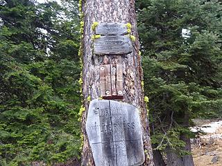 Mt Misery Trailhead, 5900.'