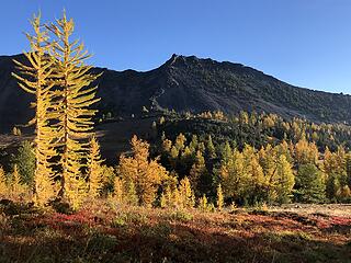 Chiwaukum Larches 10/1-10/3/20