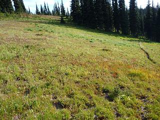 CenterMtnTrail