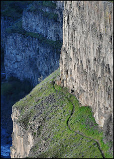 Not an easy way down: Trail between basalt cliffs at Palouse Falls State Park.