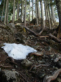 The steep forested climb starting from Lake Serene...