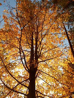 Alder Lake Park 102819 03