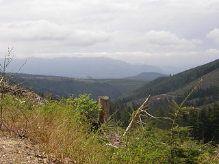 Rattlesnake Mountain road off main trail looking south at clearcuts.