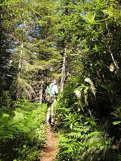 HJ viewing the rhodies