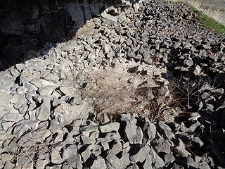 Circular stone structures inside.