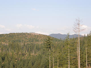 Over towards watershed from McDonald clearcut area.