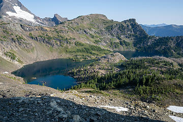 so many larches