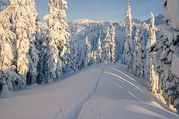 walking in a winter wonderland